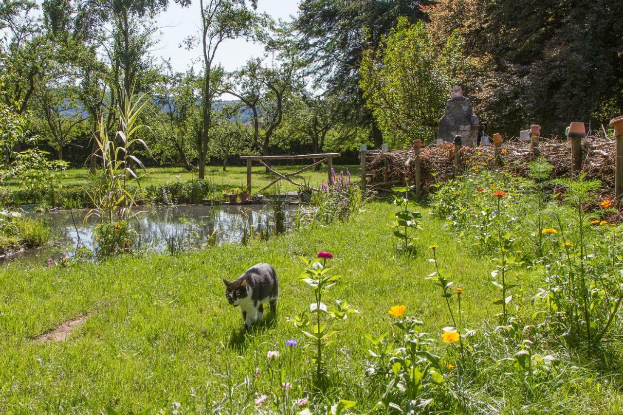 Gasthof D'hotes Domaine Des Iris *